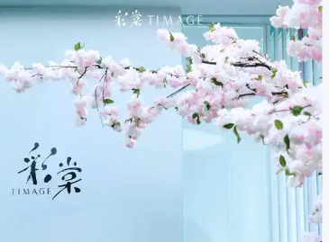 “彩棠”商标维权案审结，分装化妆品构成侵权，判赔91万元